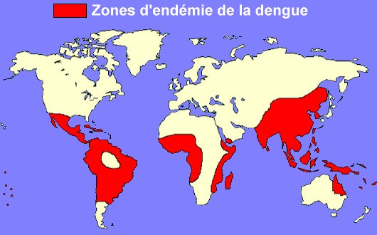 Zone d'endémie de la dengue