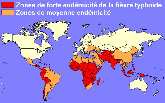 Zones d'endémie de fièvre typhoïde